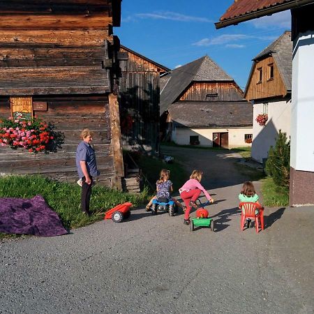 Вілла Rettlhof Sankt Peter am Kammersberg Екстер'єр фото
