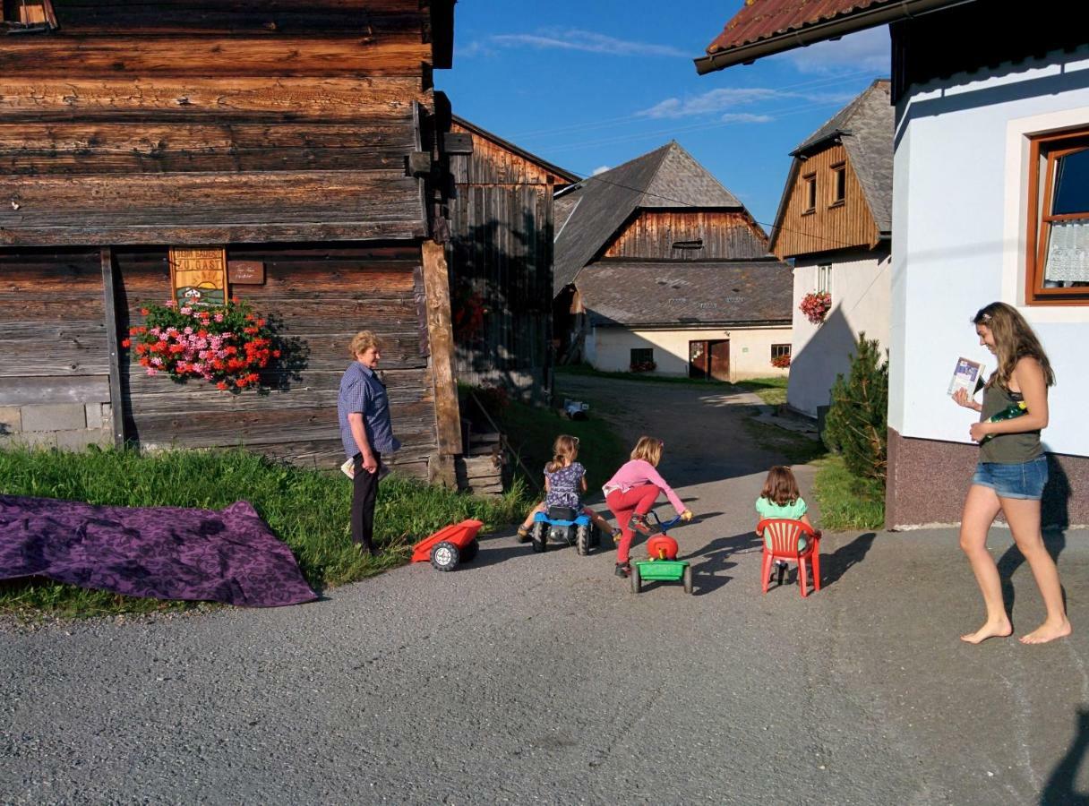 Вілла Rettlhof Sankt Peter am Kammersberg Екстер'єр фото