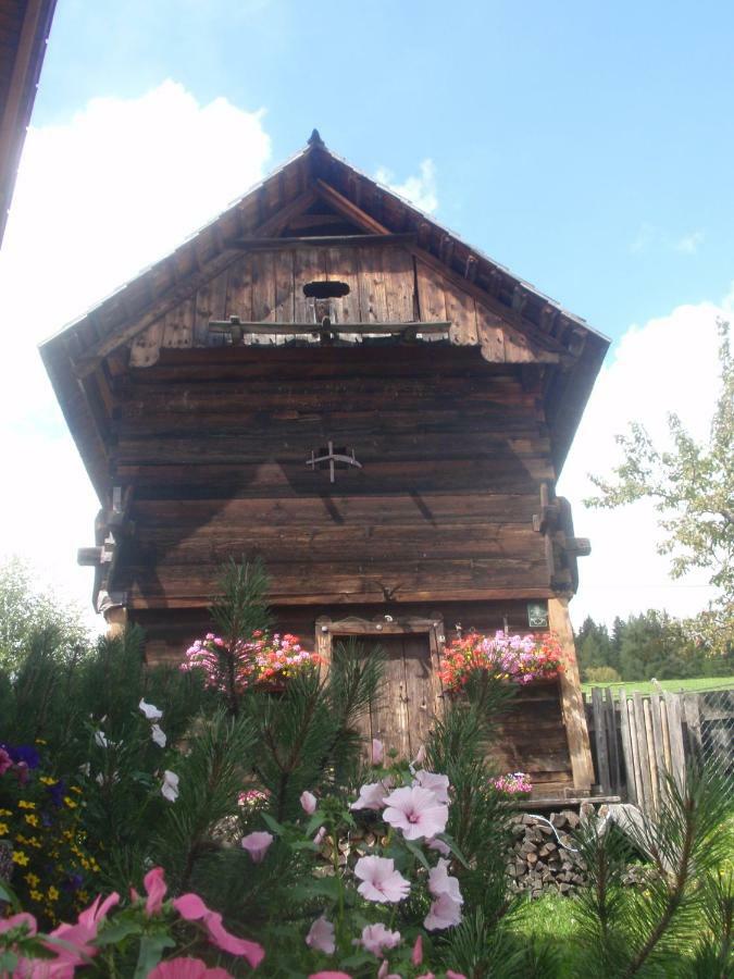 Вілла Rettlhof Sankt Peter am Kammersberg Екстер'єр фото